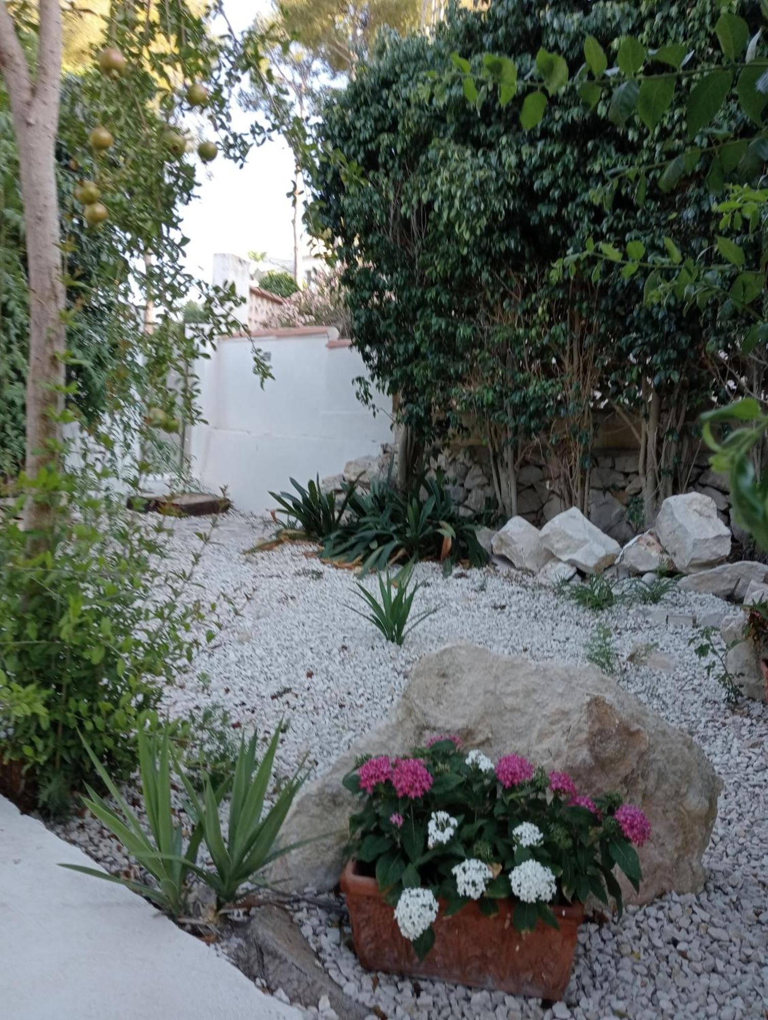 Mayari Moraira Bagian luar foto